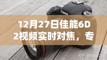 不飞则已 第3页