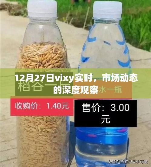 12月27日vixy实时动态深度观察与市场趋势解析