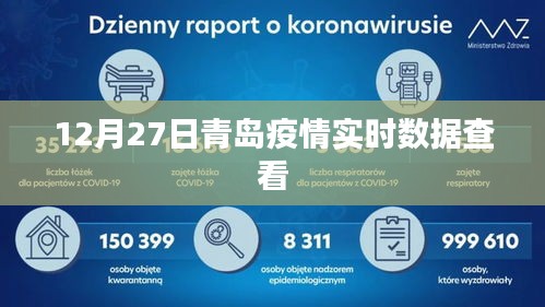 青岛疫情实时数据报告，最新动态尽在掌握
