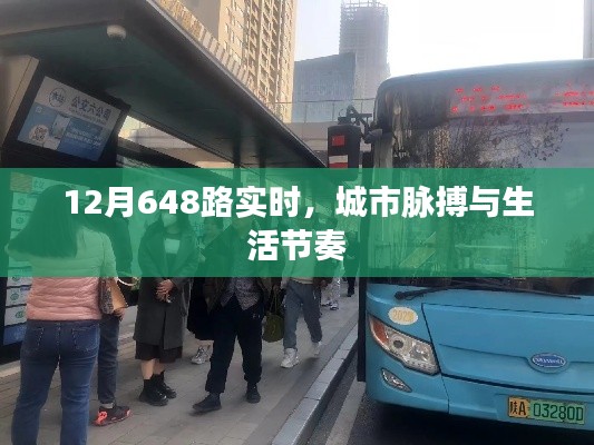 一知半解 第3页
