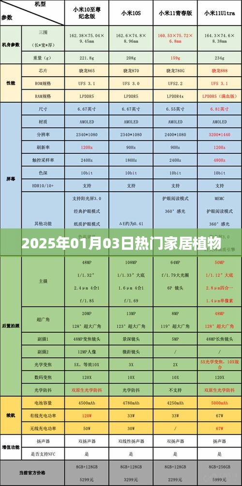 2025年家居热门植物榜单揭晓