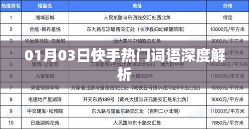 快手热门词语深度解析（日期，01月03日）