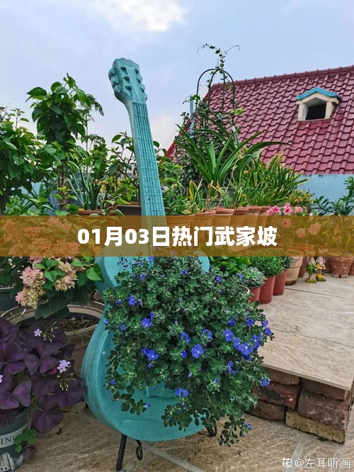 武家坡爆火日期揭秘，01月03日热门事件回顾