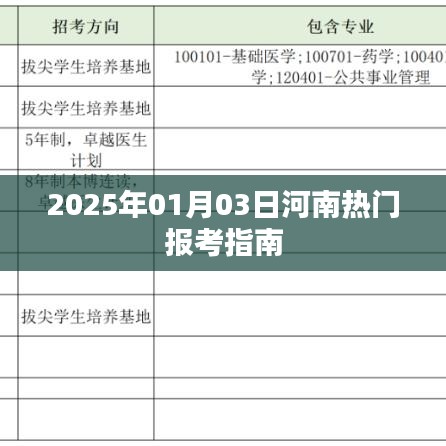 河南热门报考指南，了解报名流程与考试资讯