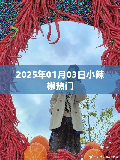 小辣椒热门资讯一网打尽，2025年1月3日最新动态