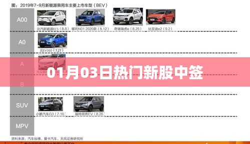 新股中签热度持续升温，最新热门新股中签揭晓！