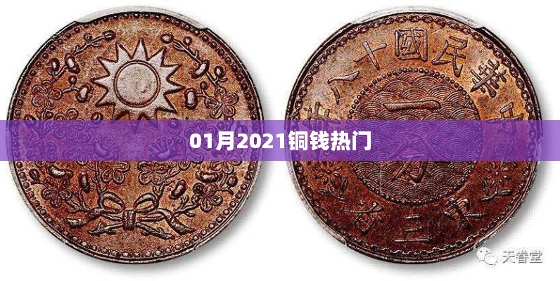 咫尺天涯 第3页