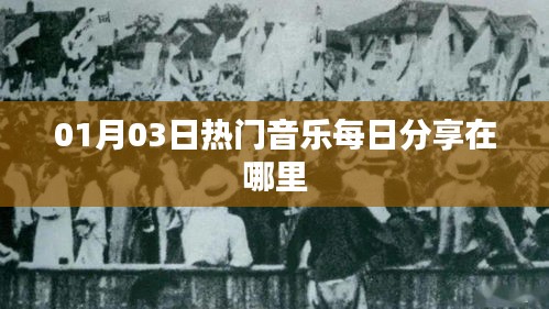 精选每日热门音乐分享推荐地