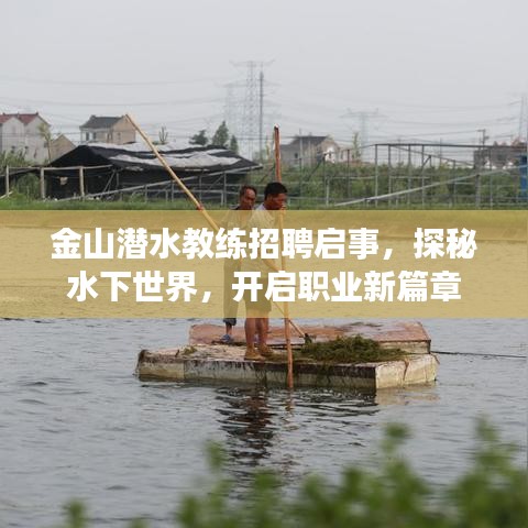金山潜水教练招聘启事，探秘水下世界，开启职业新篇章