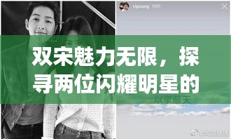 双宋魅力无限，探寻两位闪耀明星的百度风采