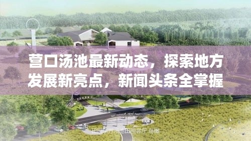 营口汤池最新动态，探索地方发展新亮点，新闻头条全掌握