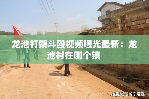 龙池打架斗殴视频曝光最新：龙池村在哪个镇 