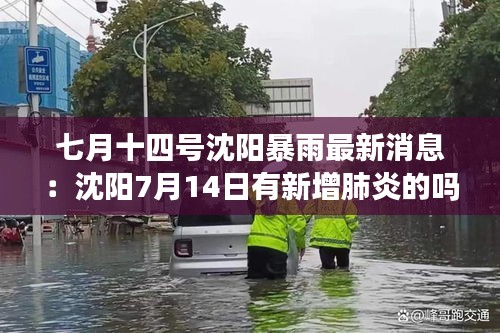 七月十四号沈阳暴雨最新消息：沈阳7月14日有新增肺炎的吗 