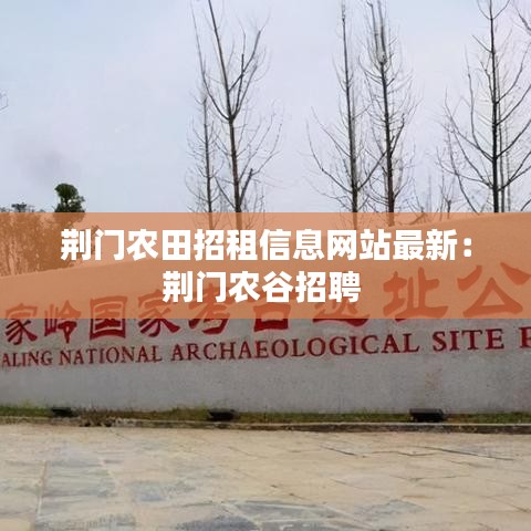 荆门农田招租信息网站最新：荆门农谷招聘 