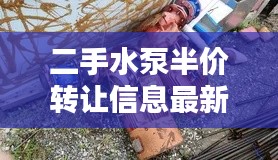 棒打出头鸟 第3页