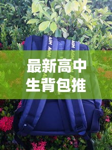 最新高中生背包推荐品牌：适合高中生的大容量背包 