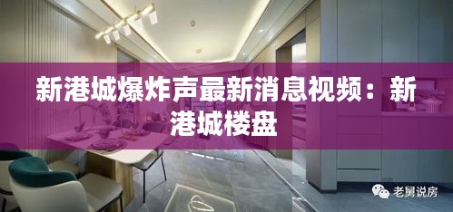 新港城爆炸声最新消息视频：新港城楼盘 