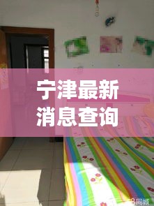 宁津最新消息查询热线公开，洞悉城市发展动态，掌握一手资讯