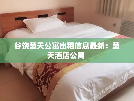 谷饶楚天公寓出租信息最新：楚天酒店公寓 