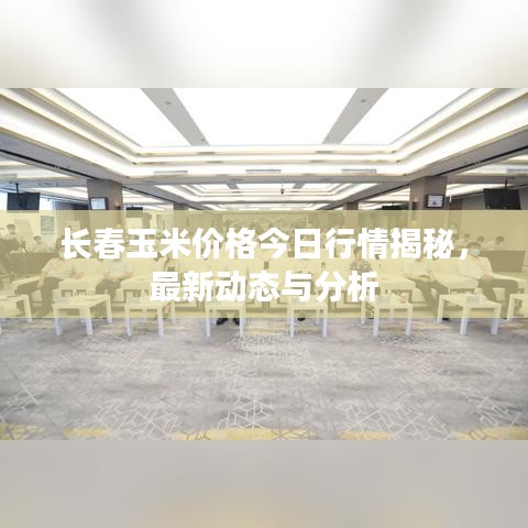 张张屈屈 第2页