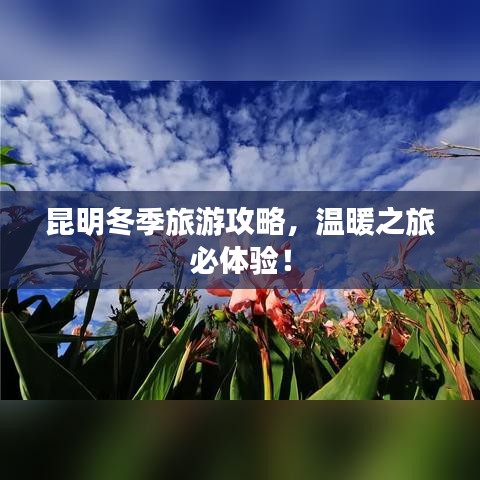 昆明冬季旅游攻略，温暖之旅必体验！