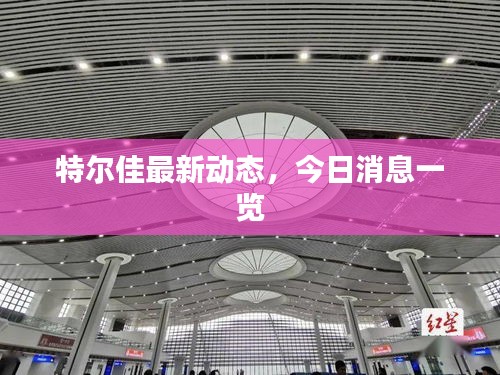 特尔佳最新动态，今日消息一览