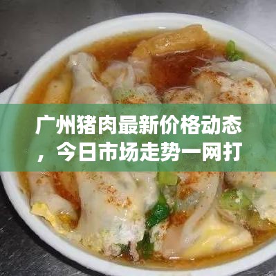 广州猪肉最新价格动态，今日市场走势一网打尽