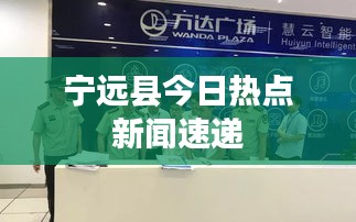 金石为开 第3页