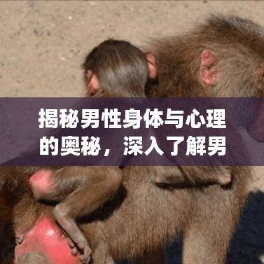 解决方案 第91页