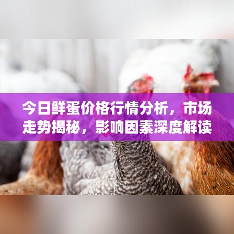 关于我们 第91页