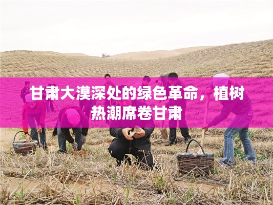 甘肃大漠深处的绿色革命，植树热潮席卷甘肃
