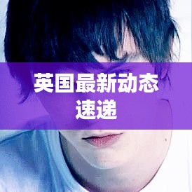 资料中心 第83页