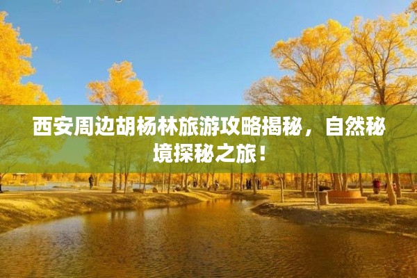 西安周边胡杨林旅游攻略揭秘，自然秘境探秘之旅！