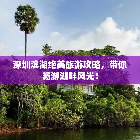 深圳滨湖绝美旅游攻略，带你畅游湖畔风光！
