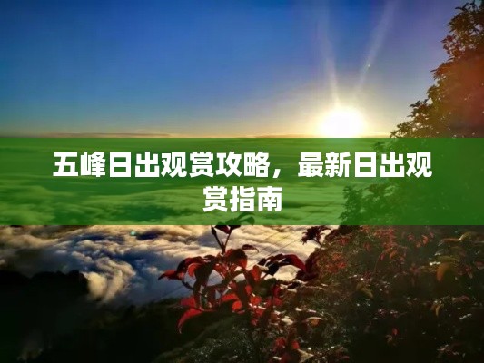 五峰日出观赏攻略，最新日出观赏指南