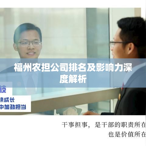 福州农担公司排名及影响力深度解析