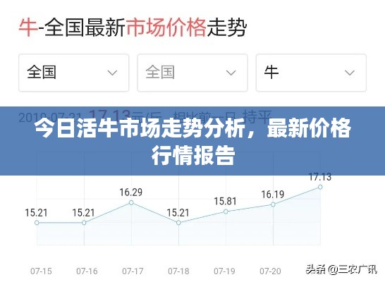 今日活牛市场走势分析，最新价格行情报告