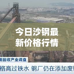 今日沙钢最新价格行情动态！
