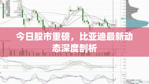 今日股市重磅，比亚迪最新动态深度剖析