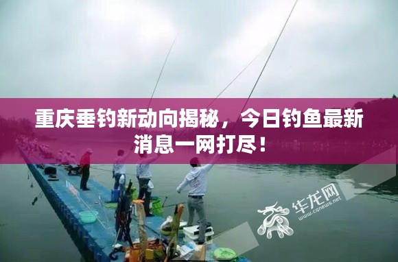 重庆垂钓新动向揭秘，今日钓鱼最新消息一网打尽！