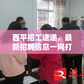 西平招工速递，最新招聘信息一网打尽