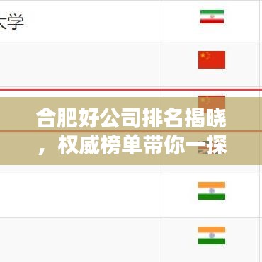 合肥好公司排名揭晓，权威榜单带你一探究竟！
