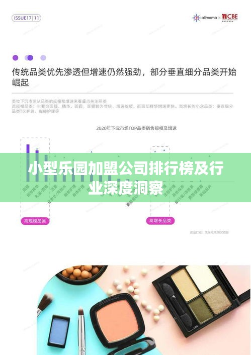 小型乐园加盟公司排行榜及行业深度洞察