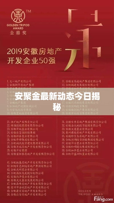 安聚金最新动态今日揭秘