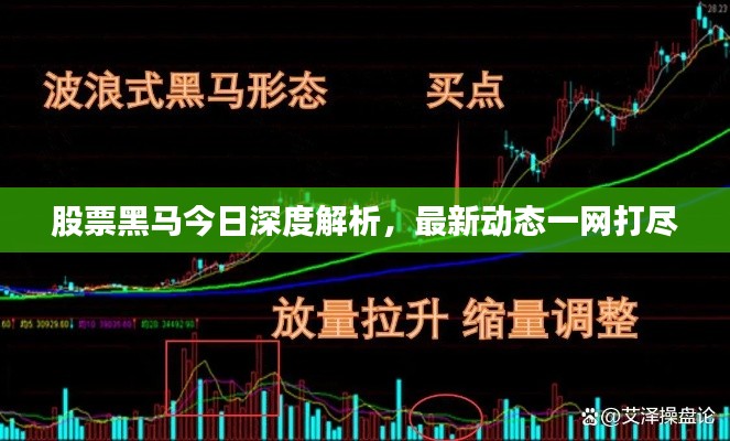 股票黑马今日深度解析，最新动态一网打尽