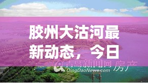 胶州大沽河最新动态，今日新闻头条汇总
