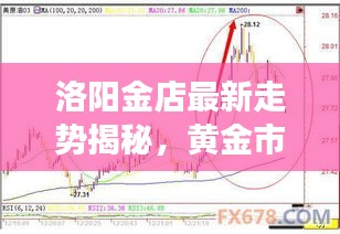 洛阳金店最新走势揭秘，黄金市场区域动态与全球联动效应分析