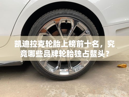 笔走龙蛇 第2页