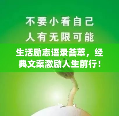 生活励志语录荟萃，经典文案激励人生前行！