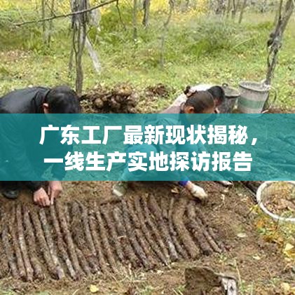 棒打出头鸟 第2页